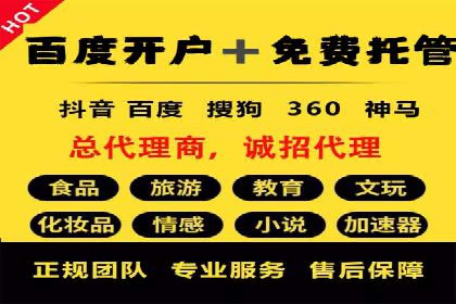 某电商平台SEM竞价广告的转化率提升案例